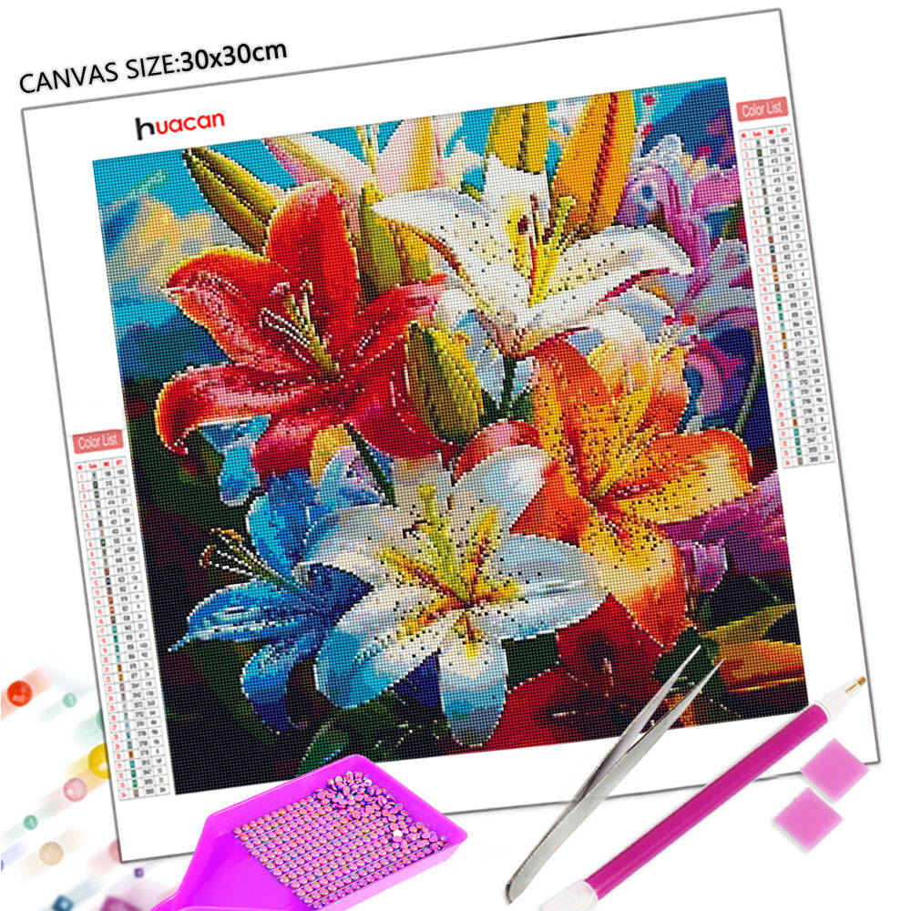 HUACAN-イルカの空のダイヤモンド絵画,海と夕日の刺em - Resin Art Wallpaper のレビューと価格